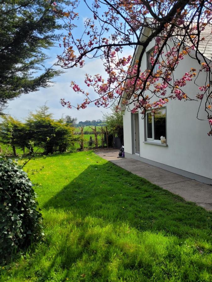 Beechwood House ,Apartment C15Ya44 Slane Exteriör bild