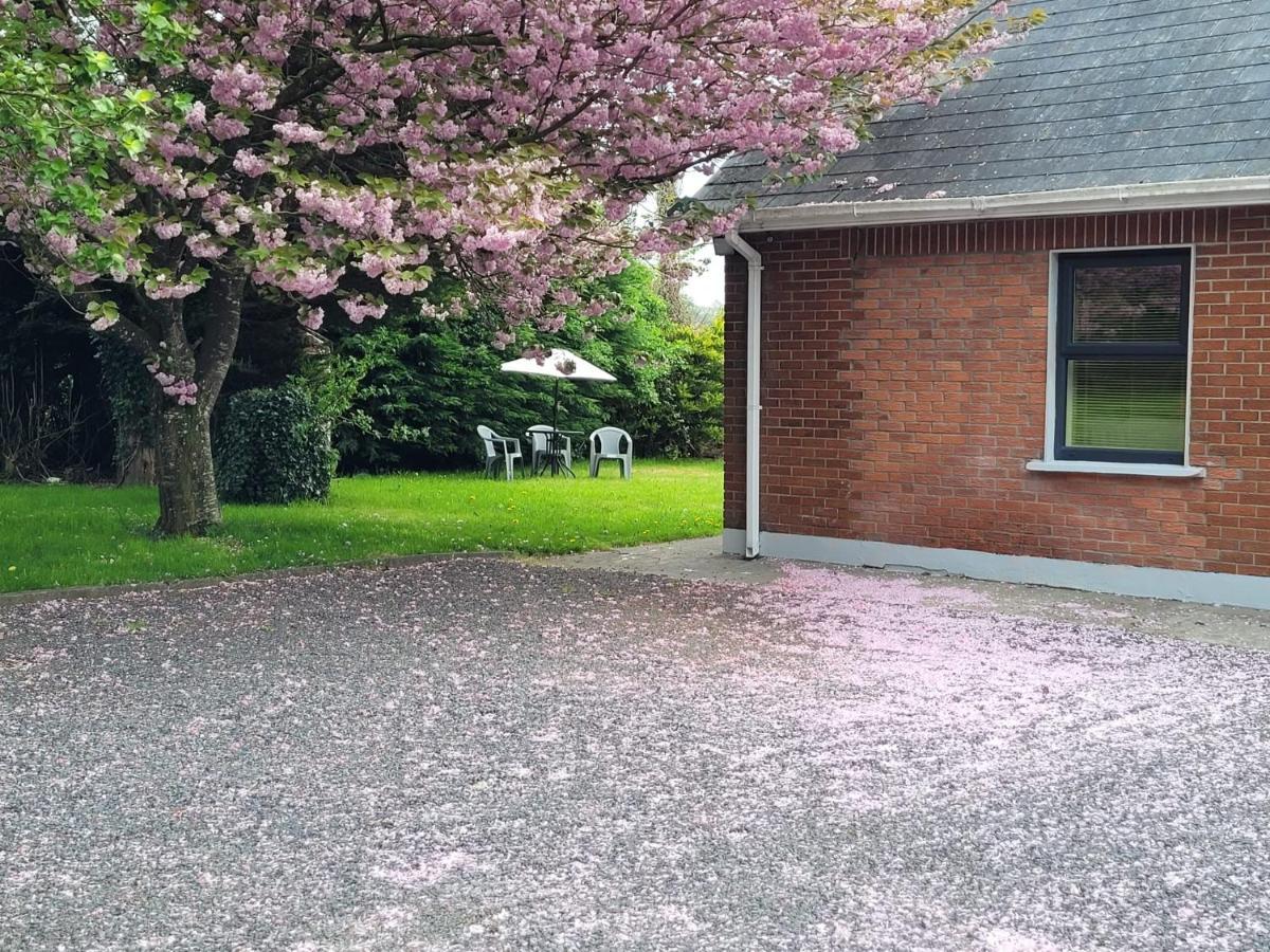 Beechwood House ,Apartment C15Ya44 Slane Exteriör bild